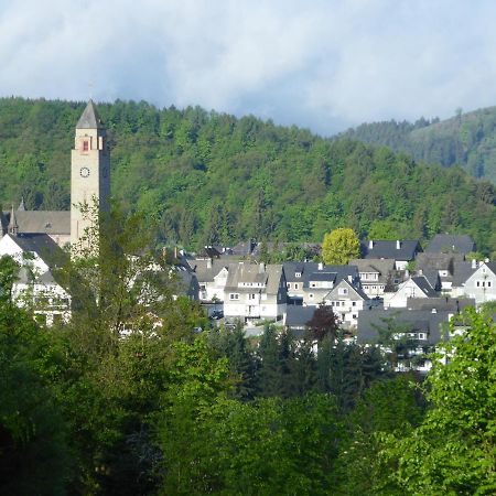 Apartment-Sauerland Schmallenberg Dış mekan fotoğraf